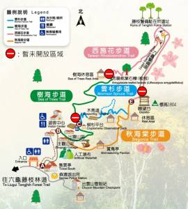 藤枝國家森林遊樂區強勢回歸!開放區域+預約方式懶人包