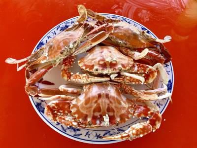 澎湖海鮮大哉問!怎麼吃最對時 漁業達人告訴你