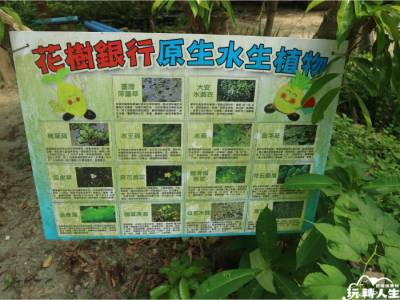 彰化最美祕密花園! 「花樹銀行」存的不是錢是希望