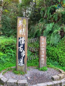太平山半日遊:森林浴洗禮!全球最美小徑見晴古道