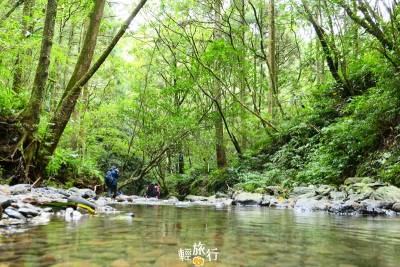 新北│探訪秘境中的秘境!走進最平緩古道,登高眺望龜山島!