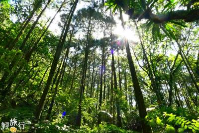 新北│探訪秘境中的秘境!走進最平緩古道,登高眺望龜山島!
