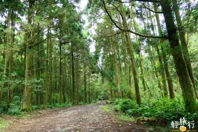 新北│探訪秘境中的秘境!走進最平緩古道,登高眺望龜山島!
