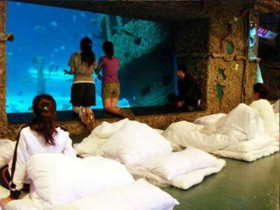 親子旅行推薦|國內外推薦名單 大人小孩都能開心享受行程