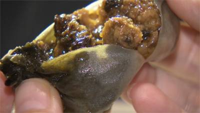 小籠包搭上防疫風!Q彈薄皮包覆黑蒜肉餡 一咬下就爆汁
