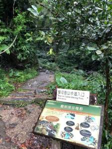 IG超夯打卡熱點|跟著網美們到抹茶山-聖母山莊登山步道讚一波!