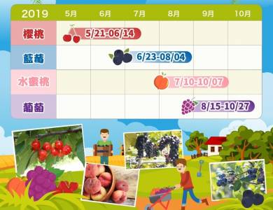 【趣吧】韓國採果體驗×超萌草泥馬!等疫情過後來去首爾近郊農場一日遊