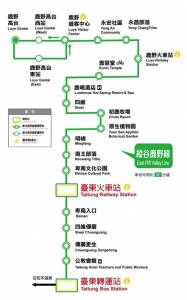 2020台灣國際熱氣球嘉年華懶人包|夜晚還能參觀台東最美星空