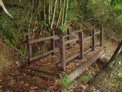 精選8條嘉義登山步道秘境|踏遍古道享受森林清新空氣與鳥鳴
