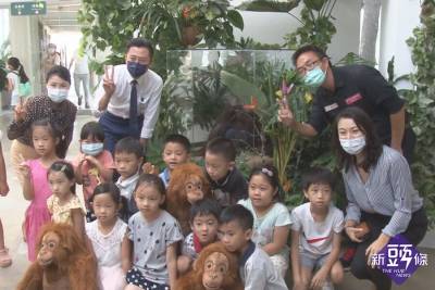 紅毛猩猩貝比化身標本 9月啟動生命教育巡迴校園