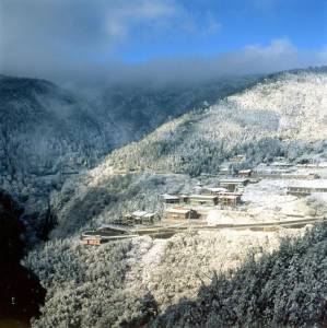 野溪溫泉攻略|全台野溪秘境玩法 體驗泡湯 賞楓 露營好滿足