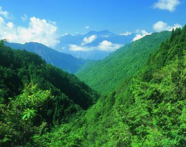 太平山攻略|走訪依山傍湖的翠峰湖環山步道 探訪台灣最大高山湖泊