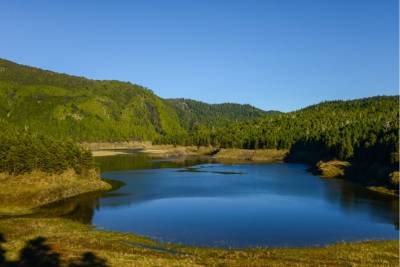 太平山攻略|走訪依山傍湖的翠峰湖環山步道 探訪台灣最大高山湖泊