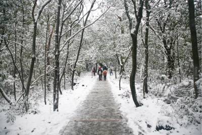 全台賞雪景點大蒐集|寒流來襲準備出發囉!台灣各大賞雪景點推薦