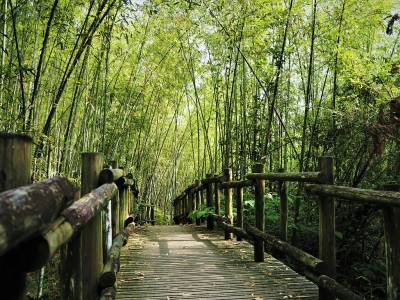【趣吧】另類尾牙x走跳春酒玩法|除了吃餐廳和抽獎公司也能這樣玩!