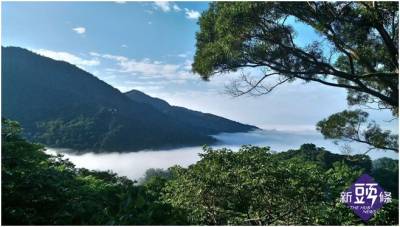 大鋤花間咖啡生態農場 人與自然間最和諧的關係