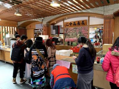 武陵農場賞櫻攻略|跟著繽紛粉嫩的撒枯拉來趟夢幻的一日遊