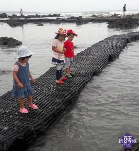 後山小調~富山海岸不能餵魚和魚群互動了