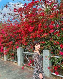 全台九重葛四大景點|春日追尋九重葛花的腳步來一趟賞花住宿之旅