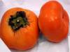 【小撇步】柿子品種多，挑選方法不一樣｜台灣好食材