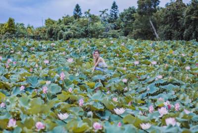 【七月份旅遊活動推薦】全台七月份活動.景點.玩法總整理