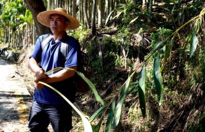 新冠肺炎疫情三級微解封|奧丁丁特推體驗行程 帶你安全放心微旅行