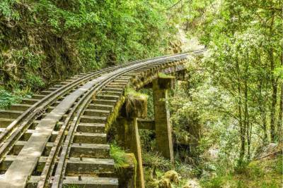 新冠肺炎疫情三級微解封|奧丁丁特推體驗行程 帶你安全放心微旅行