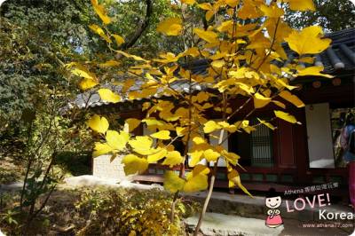 ▌韓國 ▌在韓國穿著韓服趴趴走 ♥ Oneday Hanbok一日韓服體驗 韓服質感很好噢!