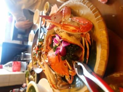 秋遊金山萬里 名人帶路泡湯趣