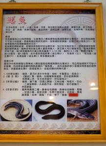 南投在地隱藏美食小吃|時發鱔魚滑麵