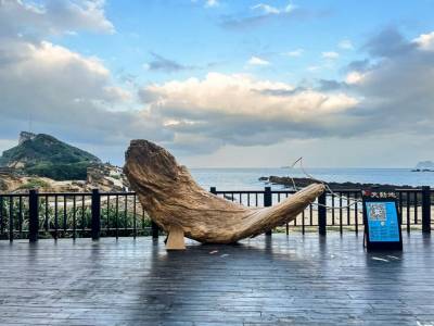 北海岸打卡新地標 漂流木巨鯨即日登場 產官學攜手倡環境生態保育