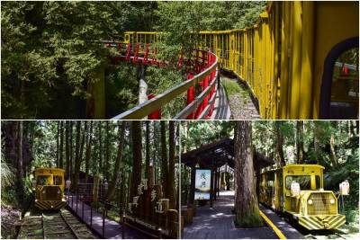 4 2-5連假 兒童遊太平山及搭蹦蹦車免費