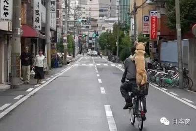 最真實的日本 看到最後一張圖我崩潰了…