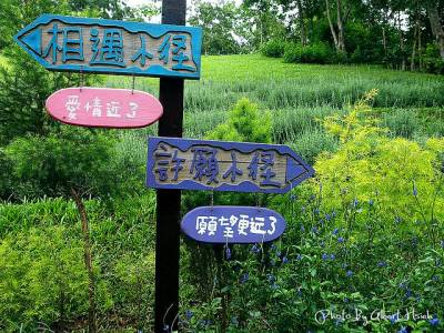 【景觀】頭屋.薰衣草森林(充滿愛情與幸福的地方)