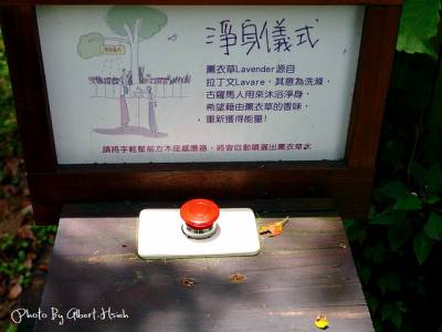 【景觀】頭屋.薰衣草森林(充滿愛情與幸福的地方)