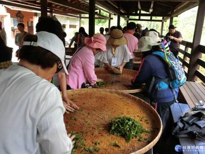 紅茶鄉的深度體驗輕旅行 兼具知識 文化 產業 生態特色