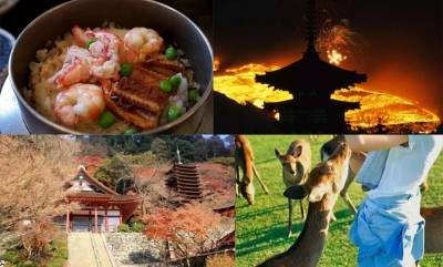 日本旅遊必去景點「奈良」，除了去奈良餵鹿，還有這「6大名勝景點4處必吃當地料理」，在教你如何便宜搭車…