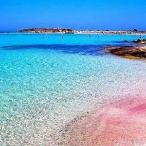 性感的粉色海灘 海里游泳的豬 加勒比海盜的故鄉，這裡比馬爾地夫還要更天堂！