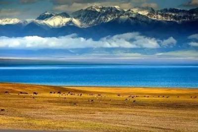西藏是一種病，不去治不好； 新疆是一種癮，去過戒不掉
