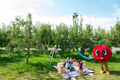 【青森蘋果紅】果粉必遊公園 各種apple吃到飽