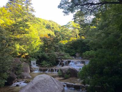 還有這些地方可以去之絕對推薦的【廣島】觀光行程