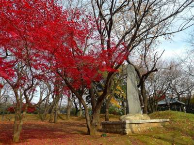 【都電荒川線】散策提案(上篇) 穿梭時空的下町東京之旅
