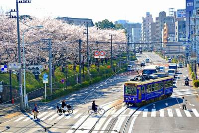 【都電荒川線】散策提案(上篇) 穿梭時空的下町東京之旅