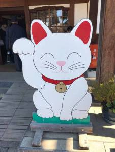 【百年歷史】以上的【人氣寺廟】嚴選!在充滿不可思議氛圍的異世界找尋不一樣的發現