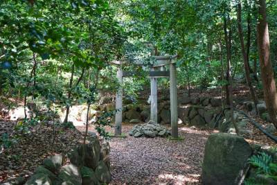 乘坐【路面電車】觀光去 【嵐電・嵐山】本線遊【京都】